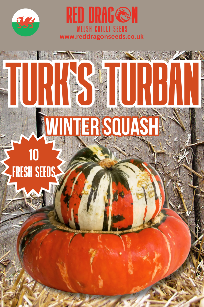 Turk's Turban Winter Squash Seeds