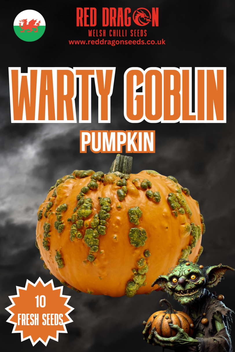 Warty Goblin Pumpkin Seeds